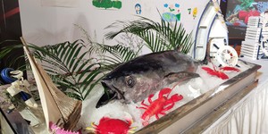 摩天城分餐金枪鱼宴